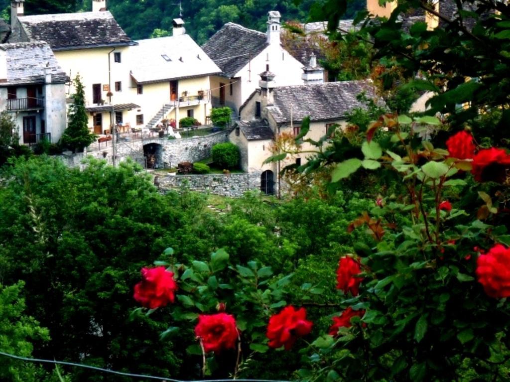 B&B Alpe Veglia Varzo Bagian luar foto