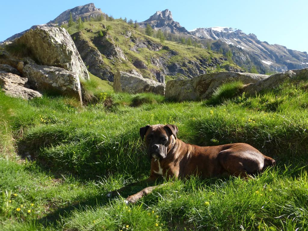 B&B Alpe Veglia Varzo Bagian luar foto