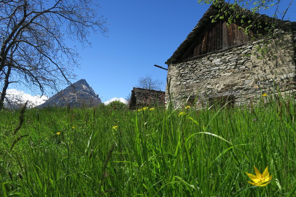 B&B Alpe Veglia Varzo Bagian luar foto