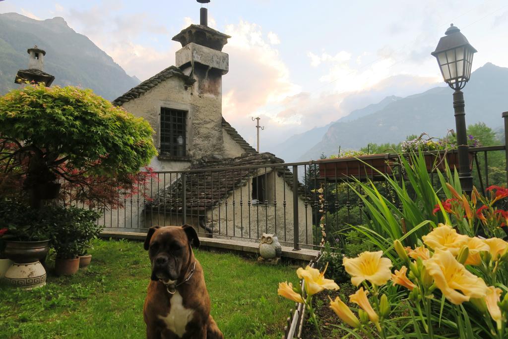 B&B Alpe Veglia Varzo Bagian luar foto