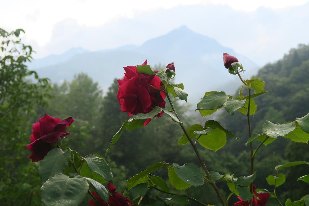 B&B Alpe Veglia Varzo Bagian luar foto