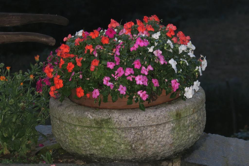 B&B Alpe Veglia Varzo Bagian luar foto