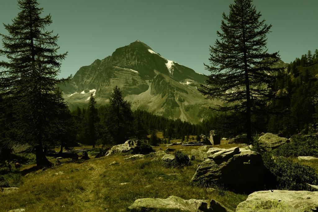 B&B Alpe Veglia Varzo Bagian luar foto