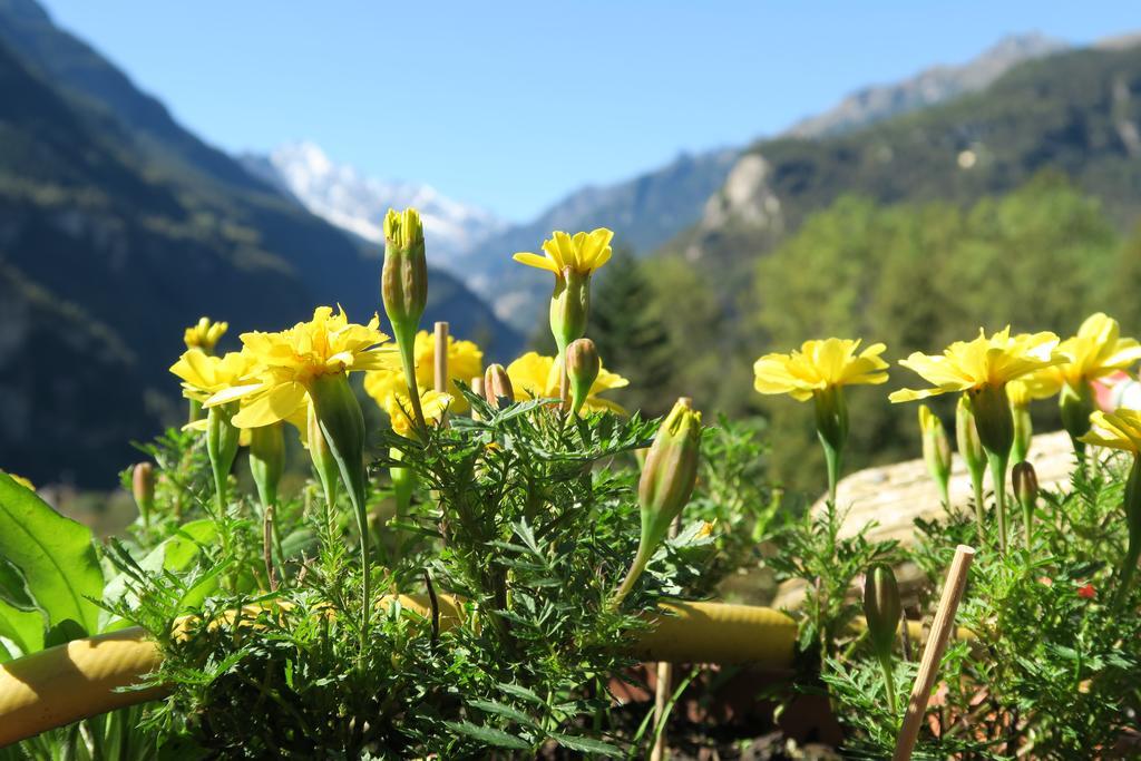 B&B Alpe Veglia Varzo Bagian luar foto
