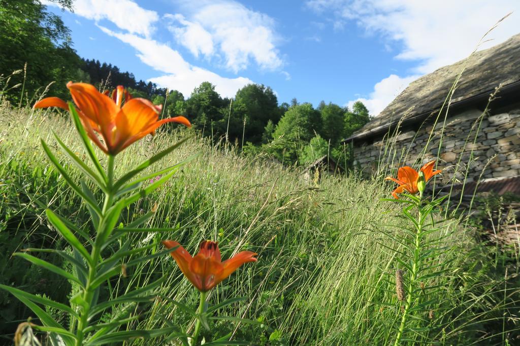 B&B Alpe Veglia Varzo Bagian luar foto