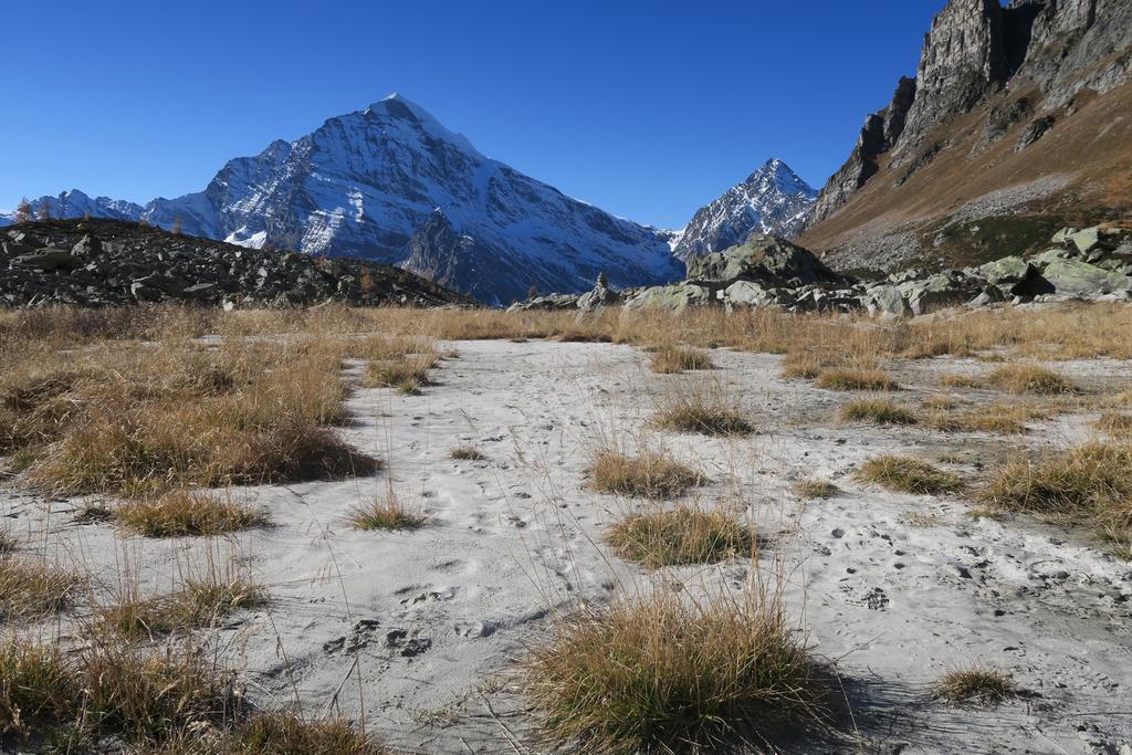 B&B Alpe Veglia Varzo Bagian luar foto