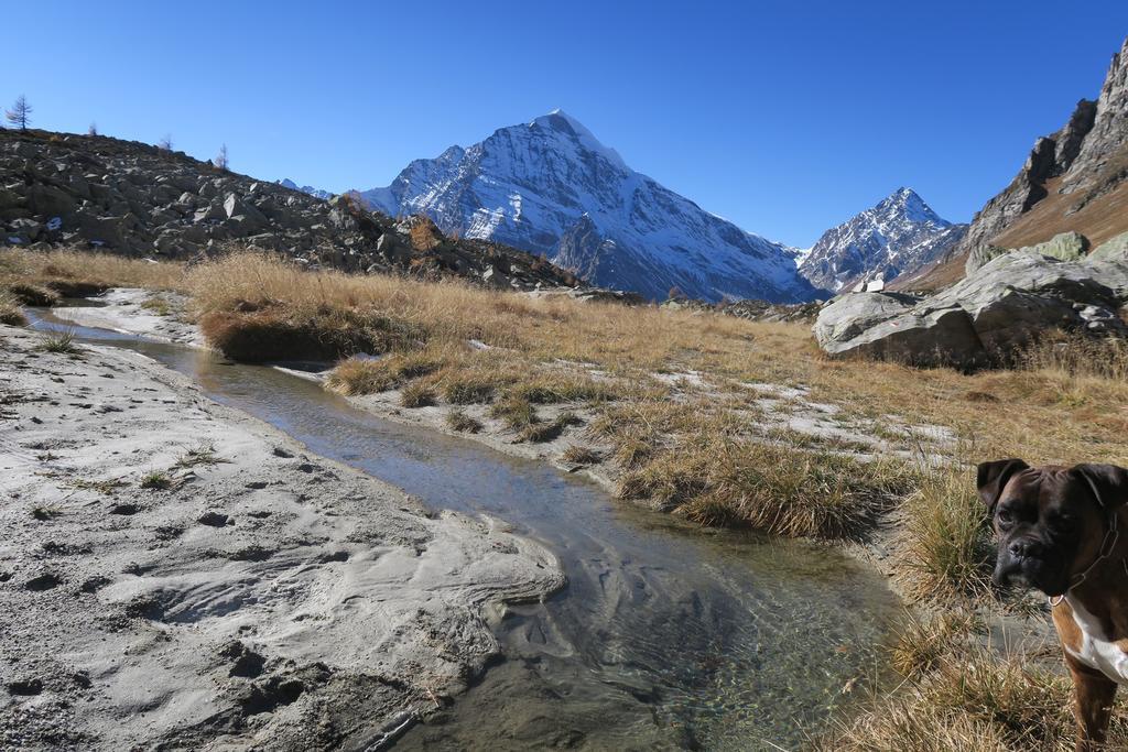 B&B Alpe Veglia Varzo Bagian luar foto