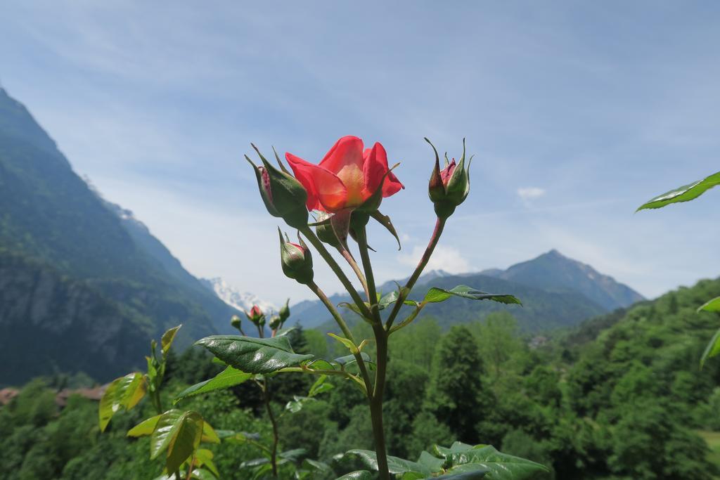 B&B Alpe Veglia Varzo Bagian luar foto