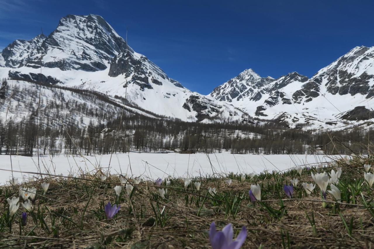 B&B Alpe Veglia Varzo Bagian luar foto