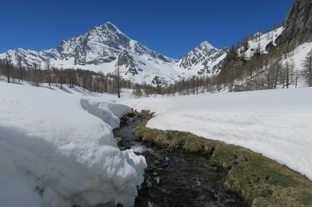 B&B Alpe Veglia Varzo Bagian luar foto